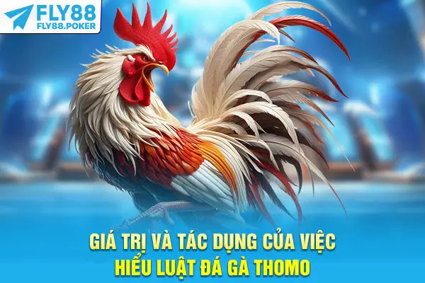 Giá trị và tác dụng của việc hiểu luật đá gà Thomo