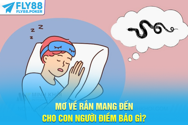 Mơ về rắn mang đến cho con người điềm báo gì?
