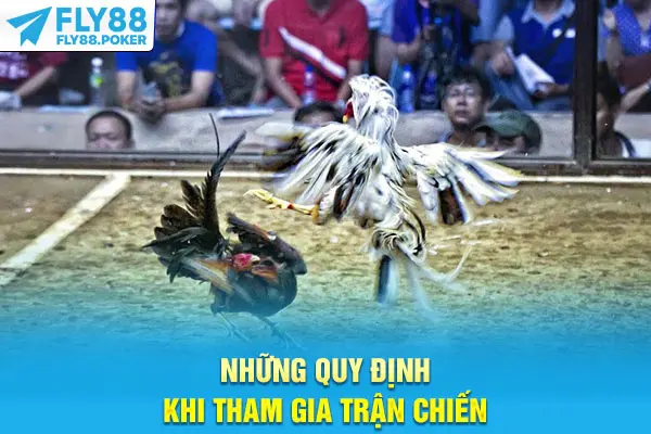 Những quy định khi tham gia trận chiến